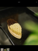 Bamboo Cleaning Brush | Sisal Bristles - Bamboo Switch