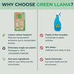 Eco-Friendly Glass & Mirror Cleaner - Green Llama