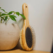 Bamboo Dog & Pet Grooming Brush | Bamboo Switch